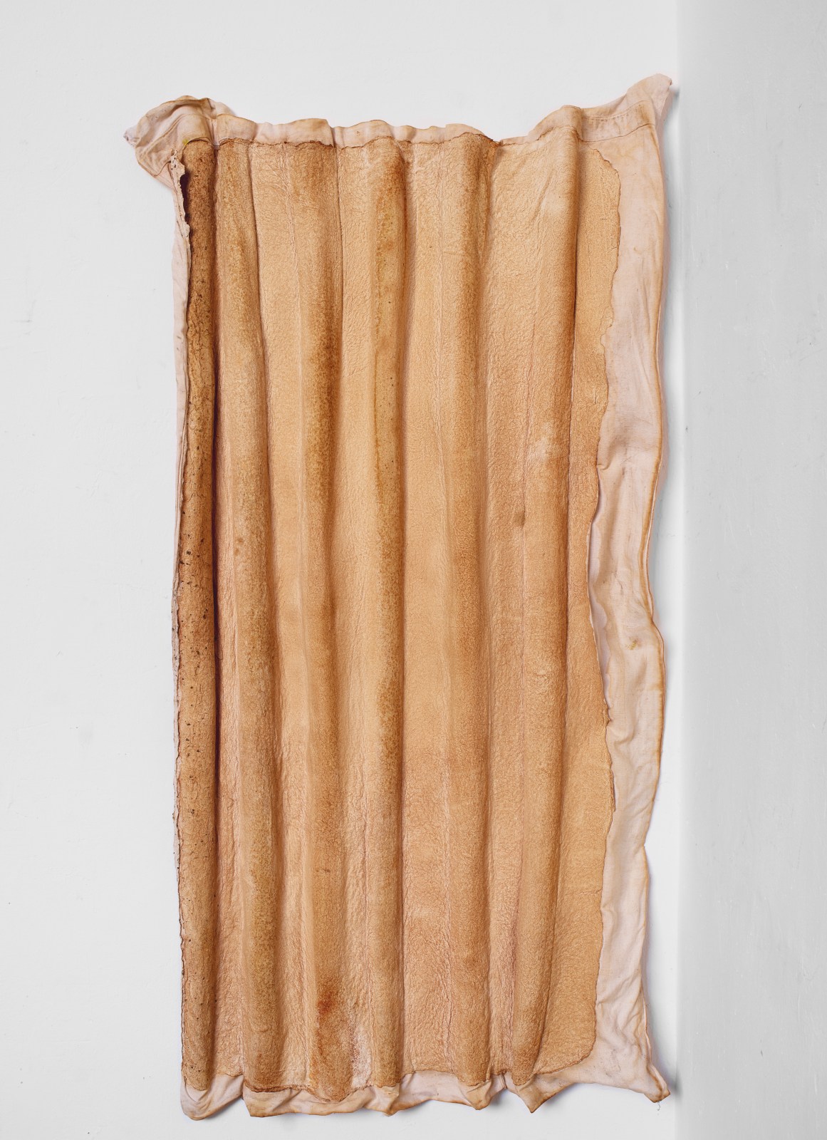 Astrid Bauer, Ultimo Foglio, 2023