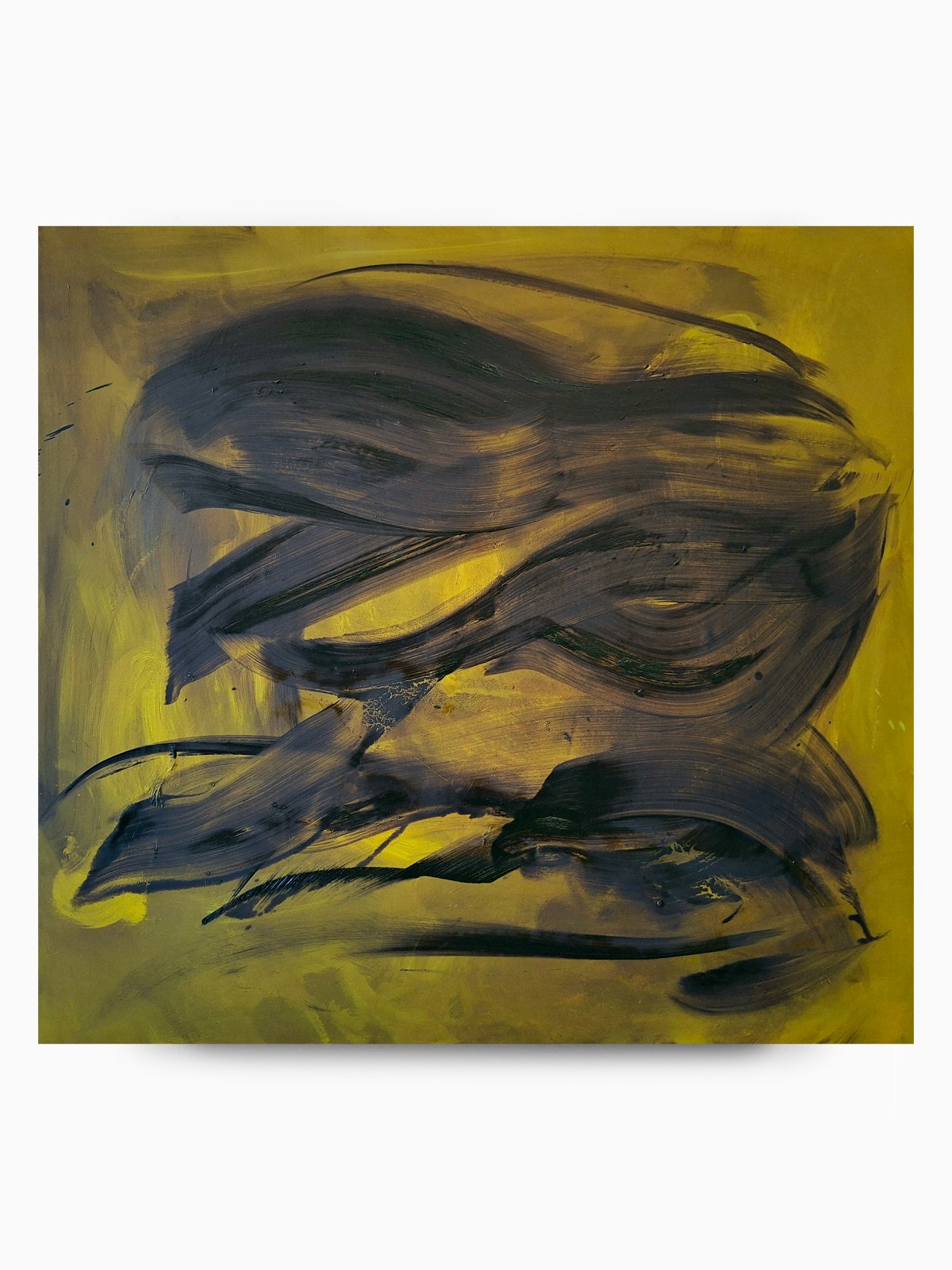 Juliette Paull, Vines, 2025