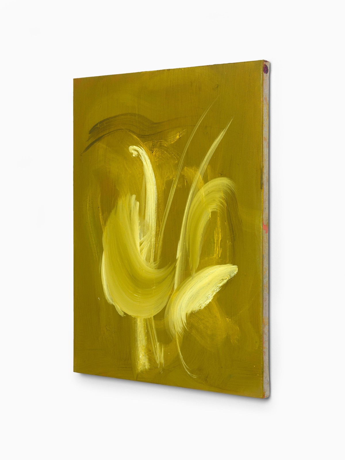 Juliette Paull, Japonica, 2025