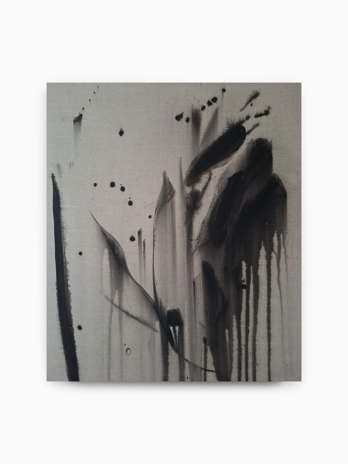 Juliette Paull, Oxalis, 2025