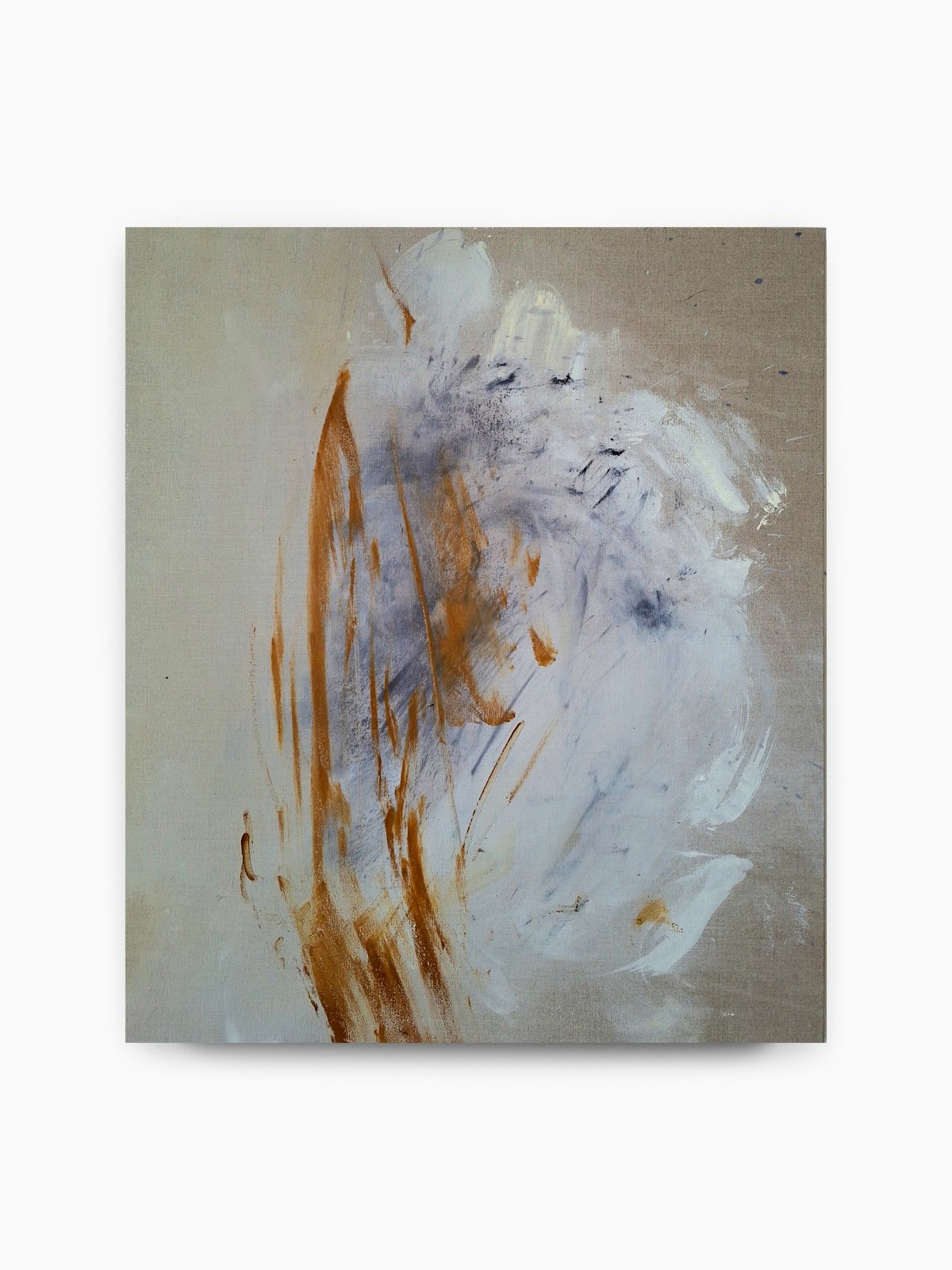 Juliette Paull, Majalis, 2025