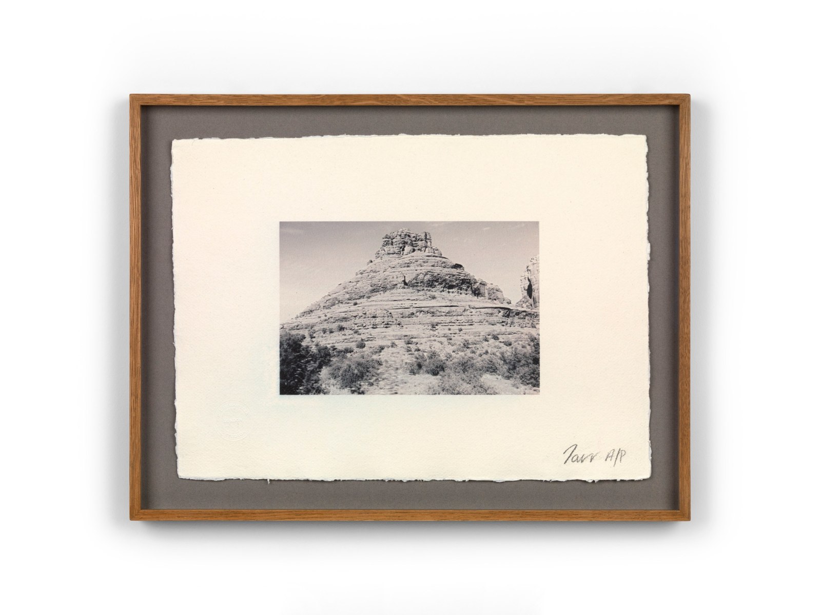 Deborah Tarr, Rare Earth IV, 2025
