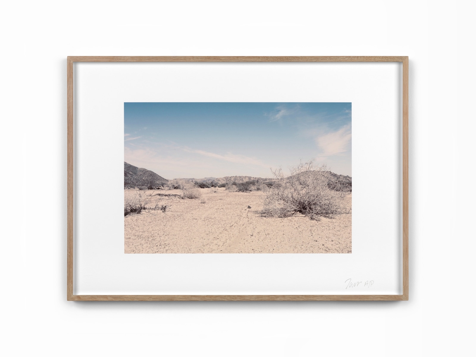 Deborah Tarr, Cali Desert I, 2025