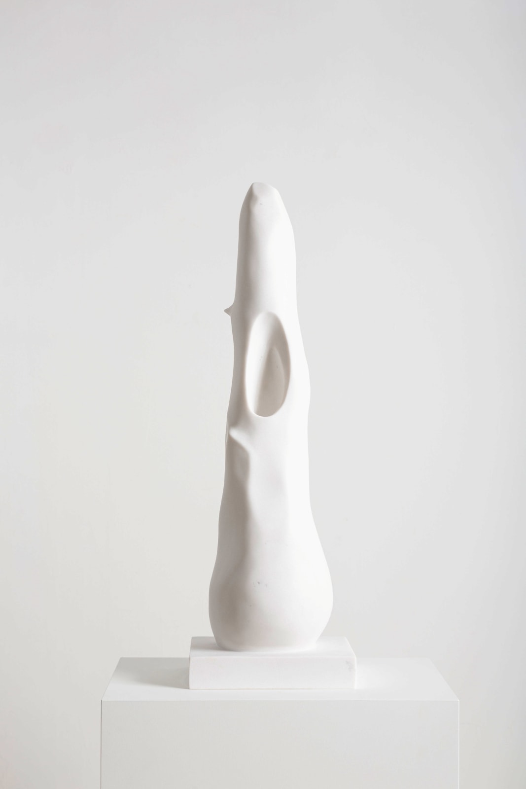 Pia Ortuño, Oropendola, 2025