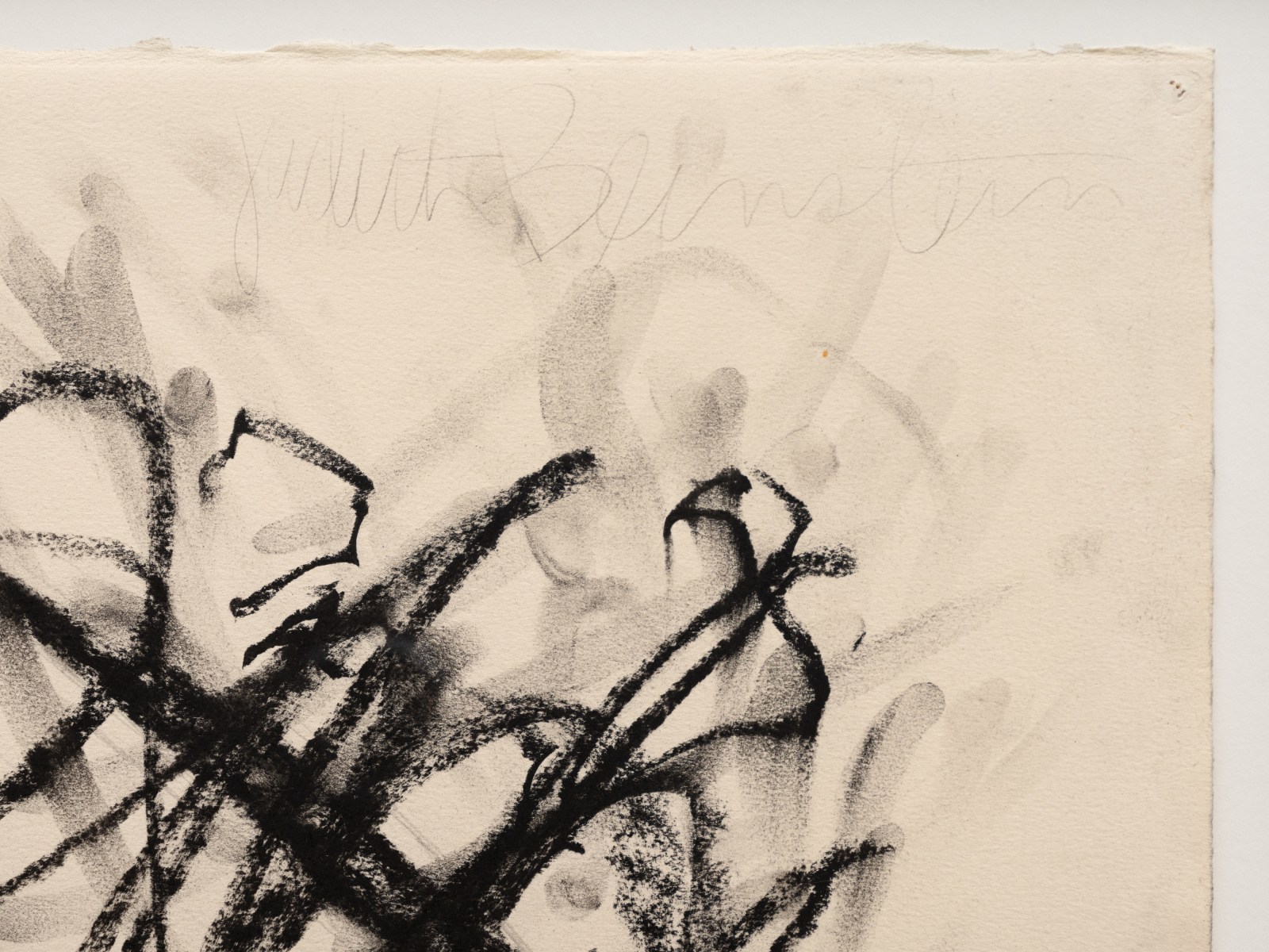 Judith Bernstein, Vertical #5, 1976