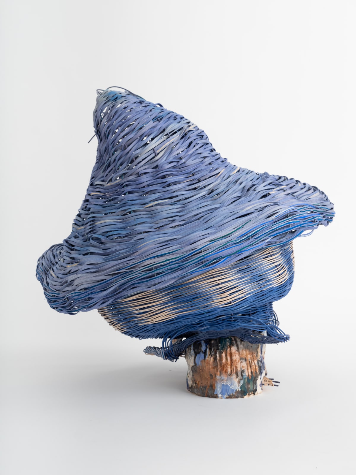 Dee Clements, Grotesque Flowers; Chosen/not chosen, 2024