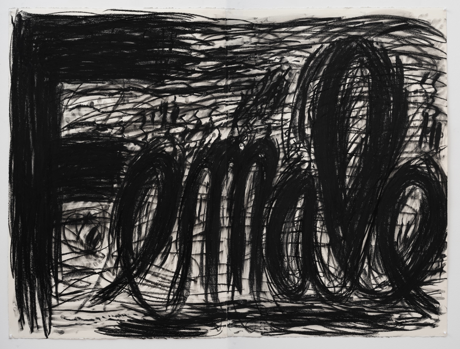 Judith Bernstein, Female, 2019