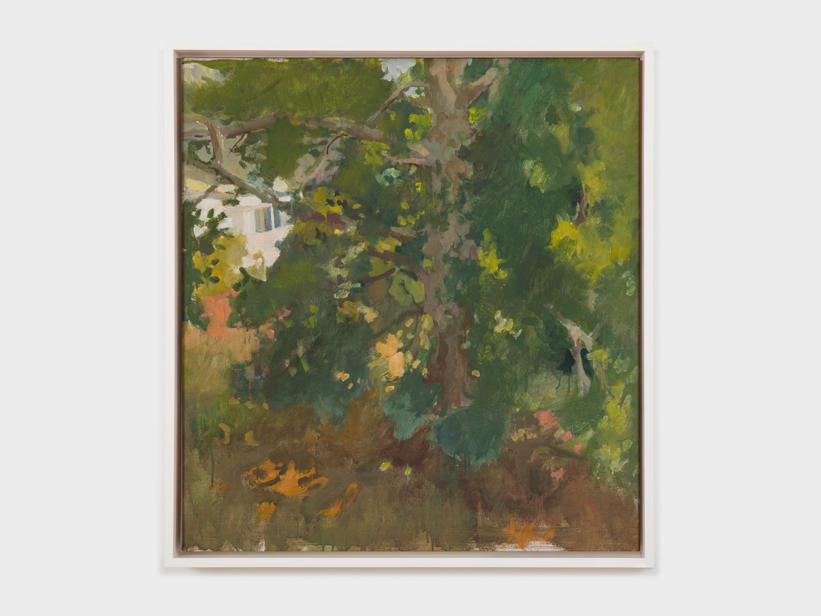 Fairfield Porter, The Plane Tree, 1957