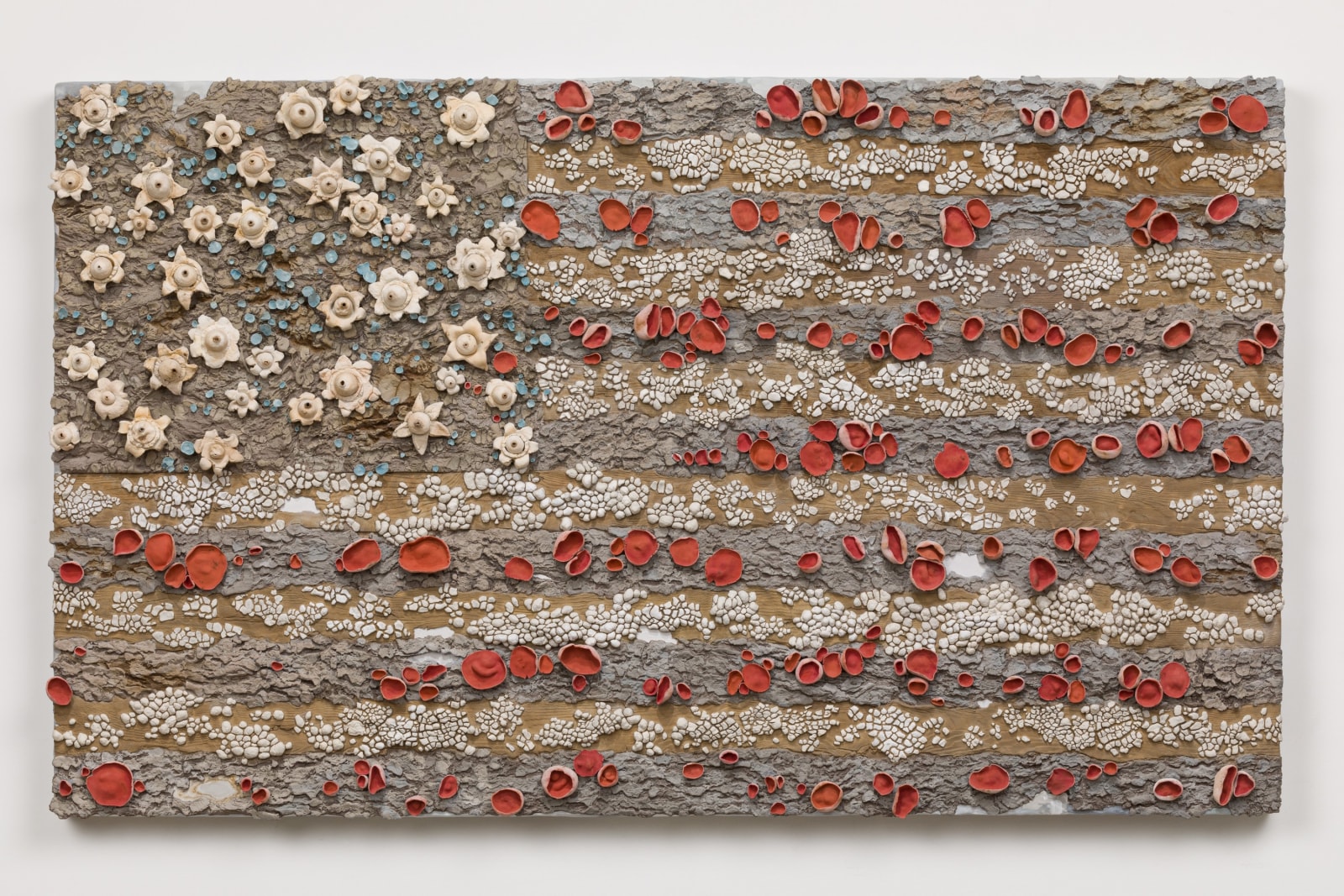 Roxy Paine, Fungal Flag no. 1, 2021