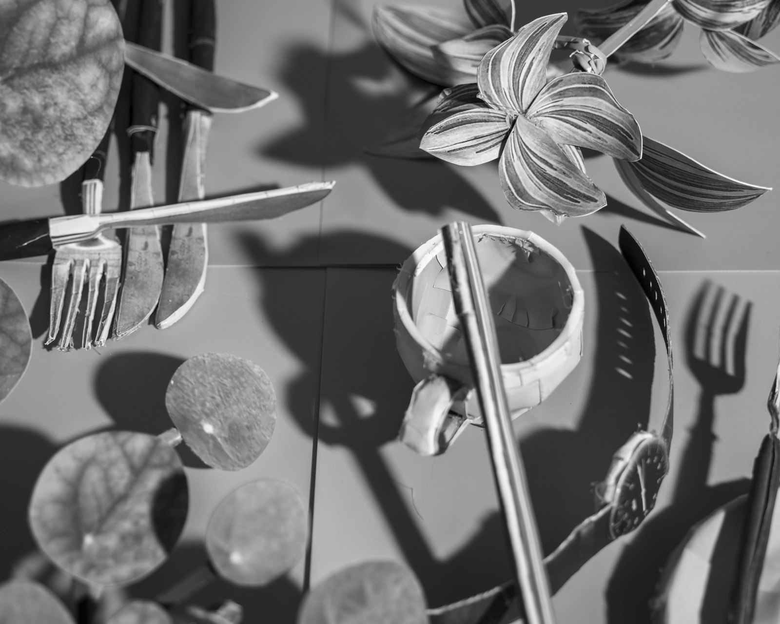 Daniel Gordon, Light Study (Espresso Cup and Shadows), 2024