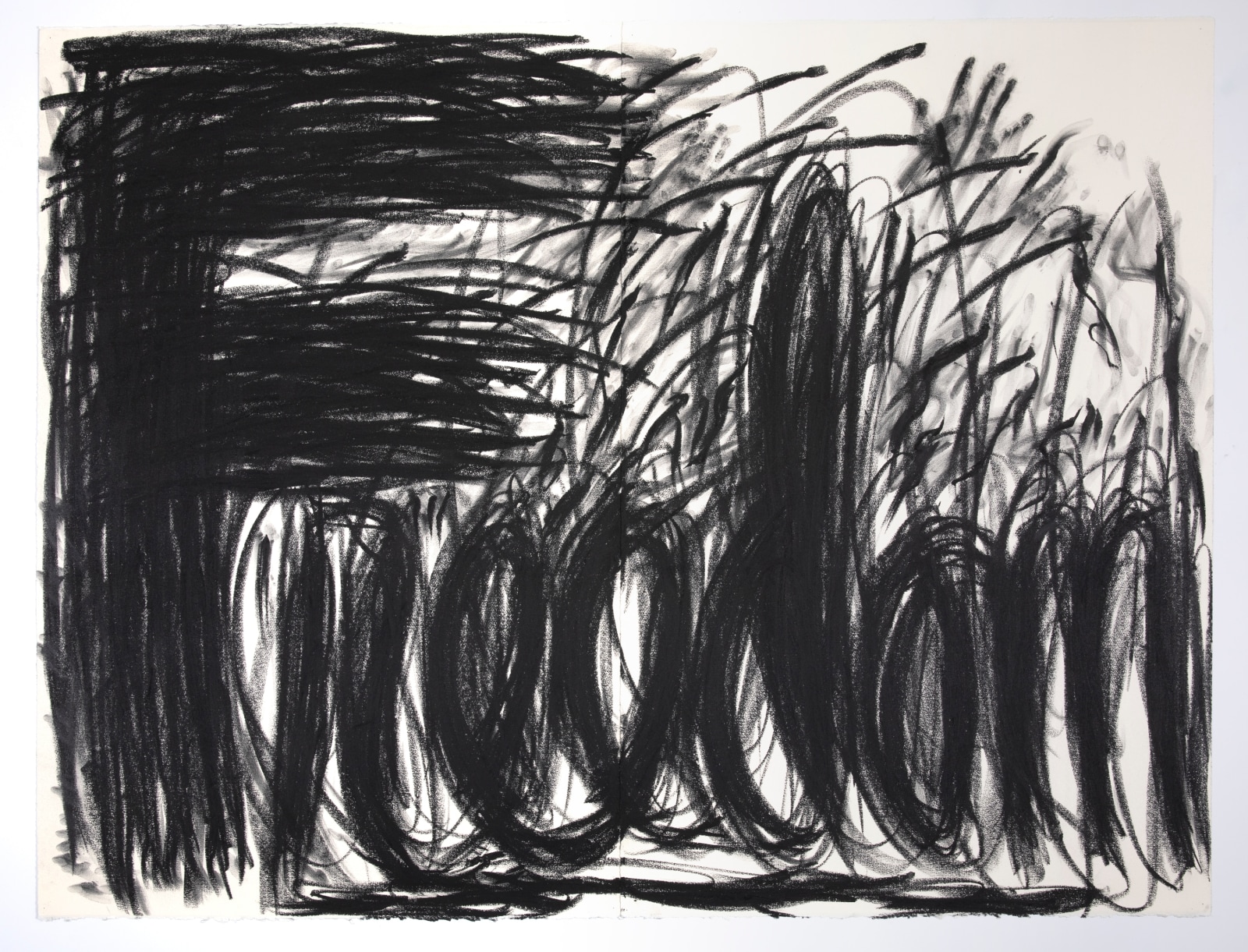 Judith Bernstein, Freedom, 1995