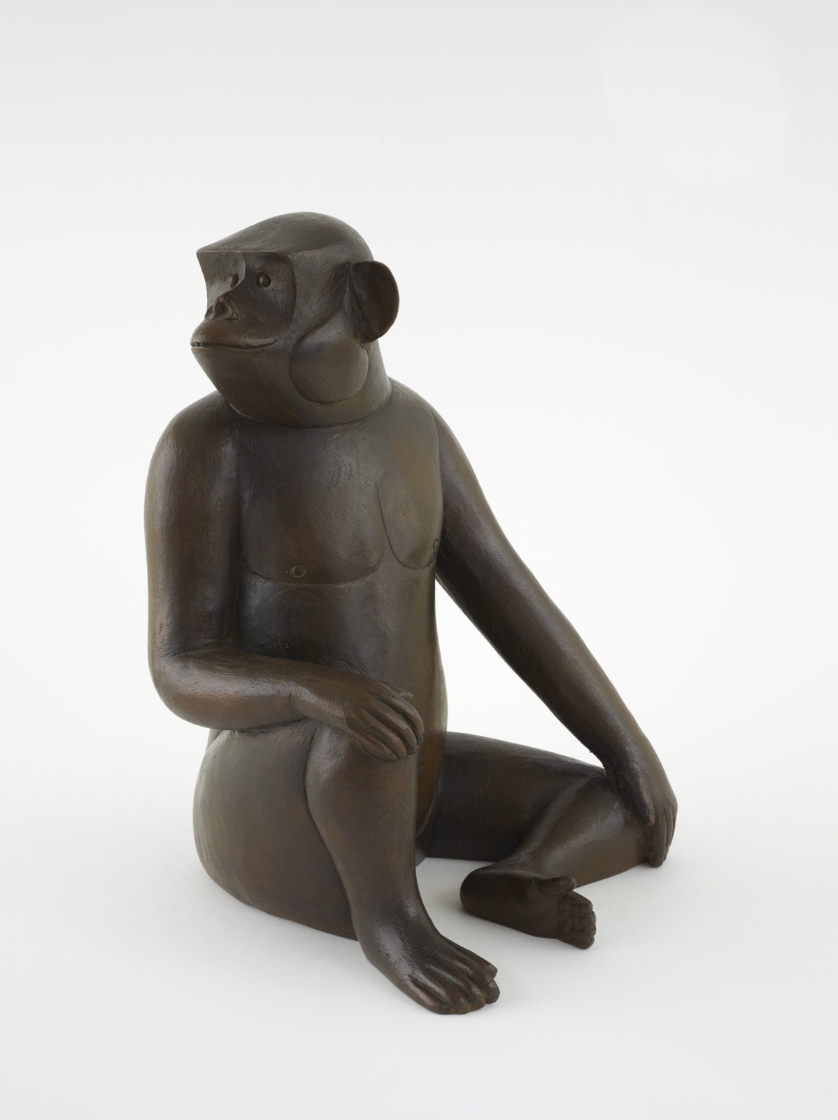 François-Xavier Lalanne, Singe avise (moyen), 2005