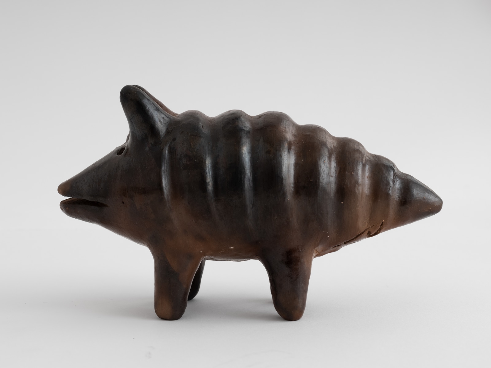 Julia Isidrez, Armadillo, 2023