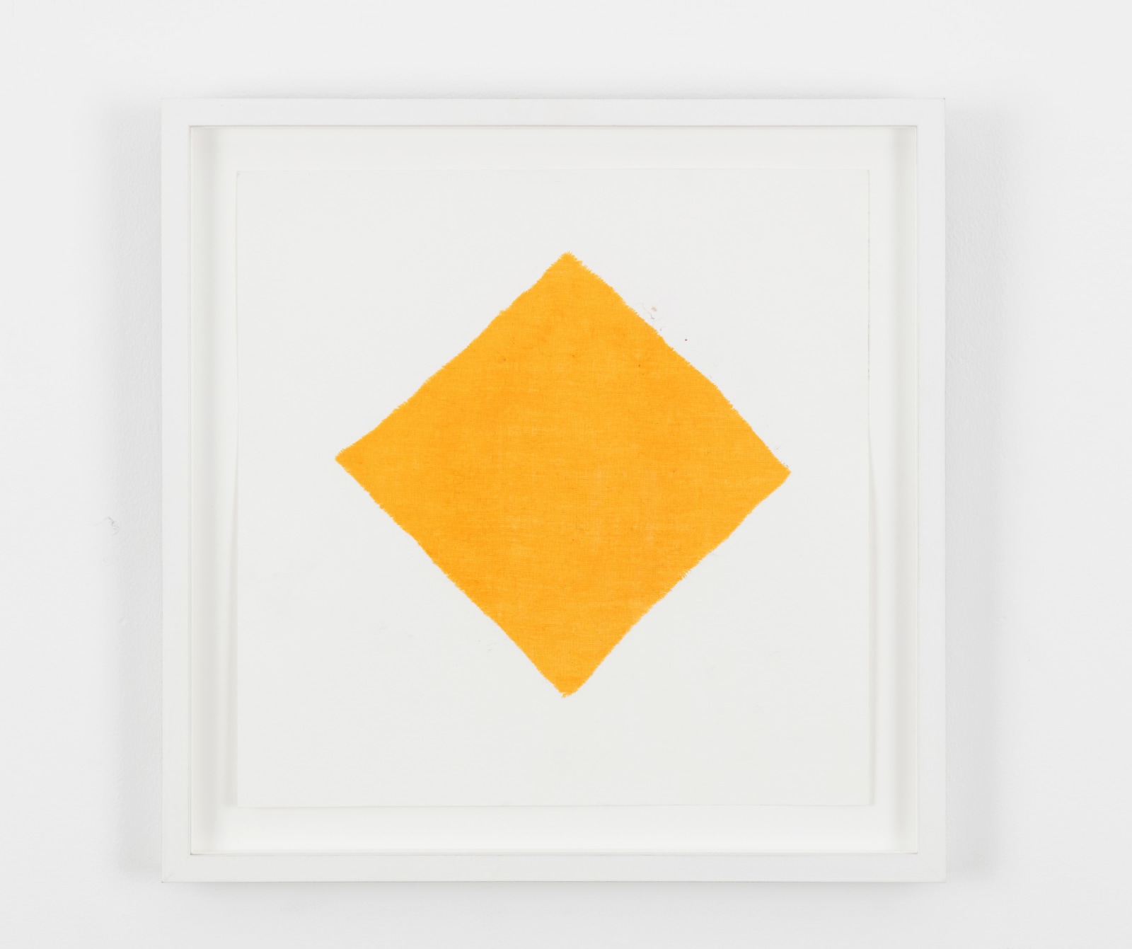 Lucy Dodd, Harlequin II, 2015