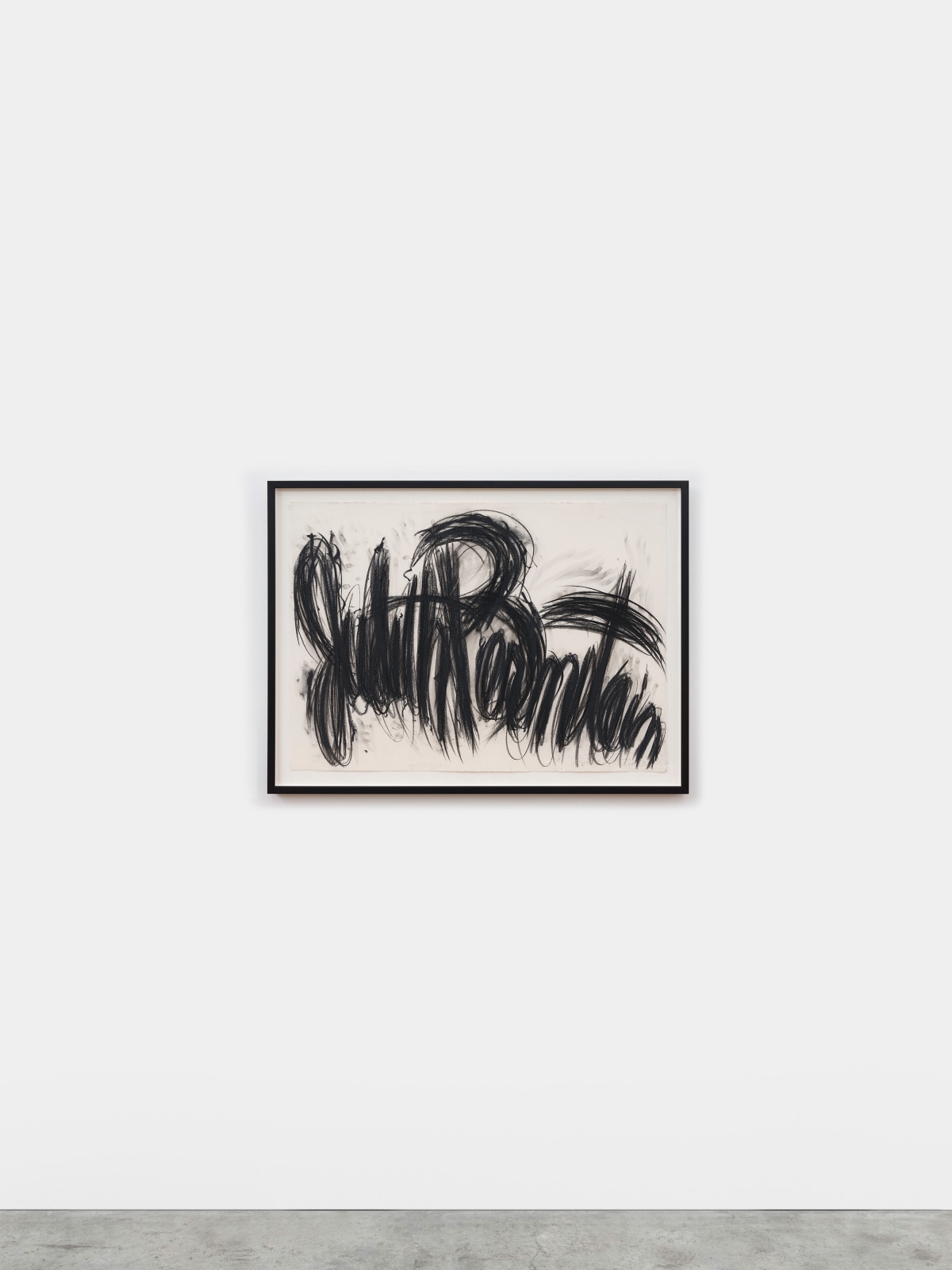 Judith Bernstein, Signature, 1995