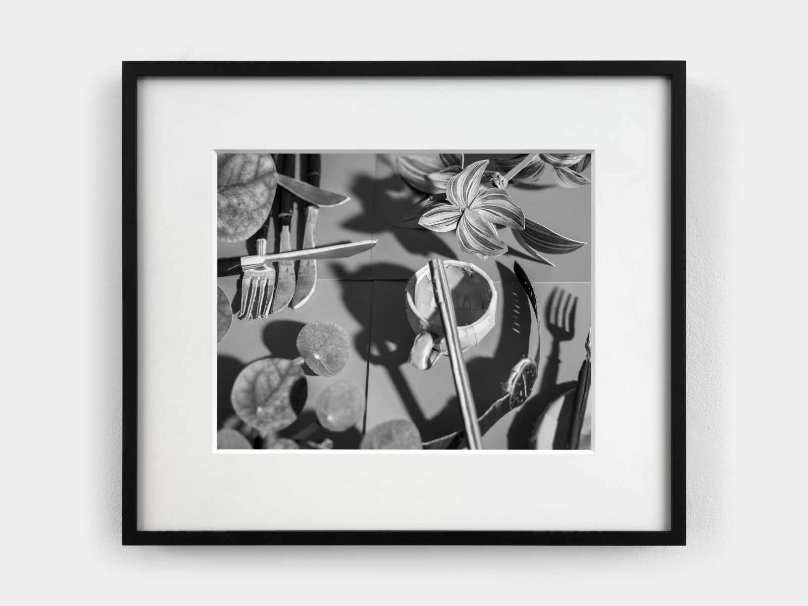 Daniel Gordon, Light Study (Espresso Cup and Shadows), 2024