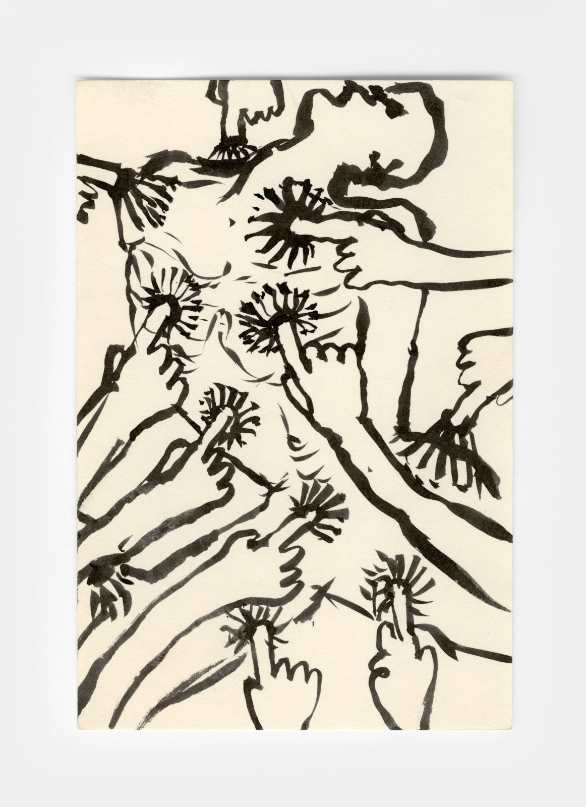 Jamie Nares, Untitled, c. 1988-1992