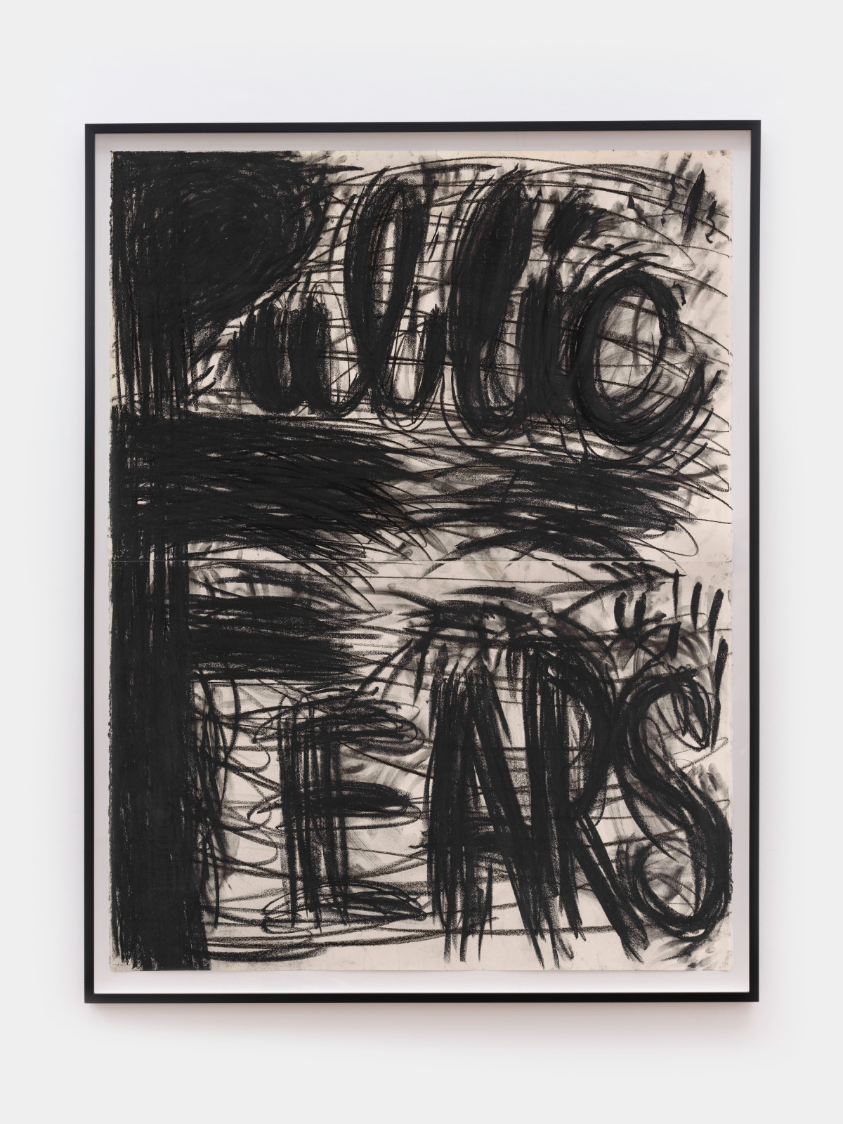 Judith Bernstein, Public Fears, 1993