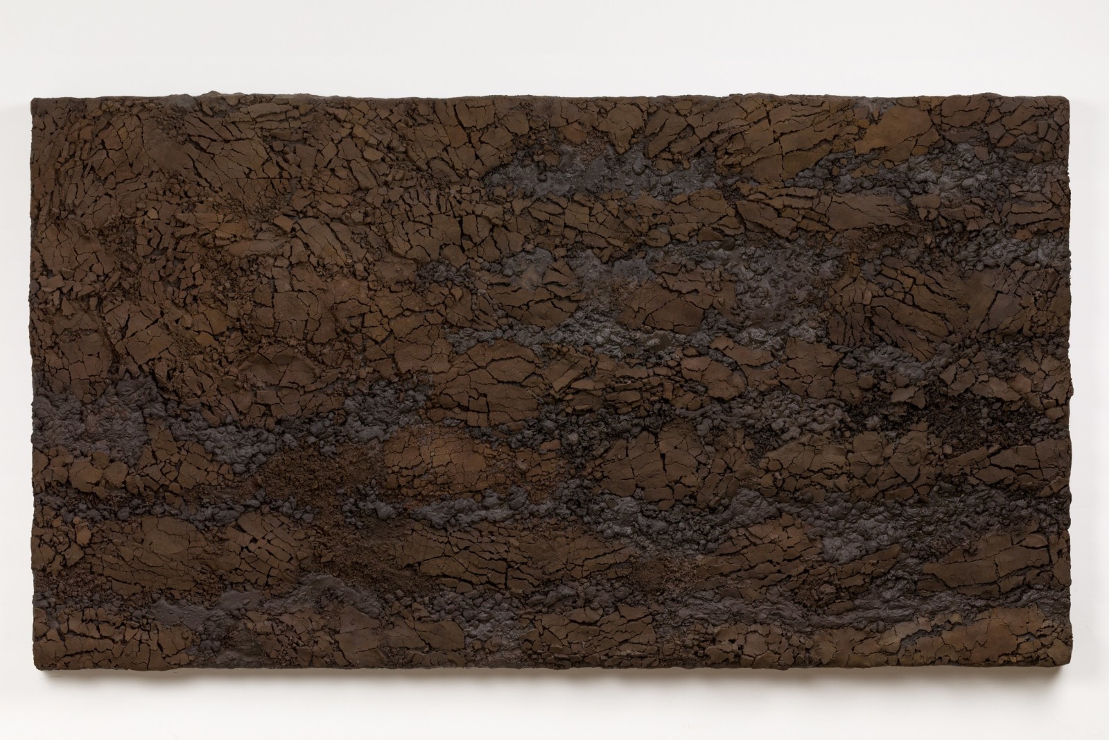 Roxy Paine, Earth Flag, 2021