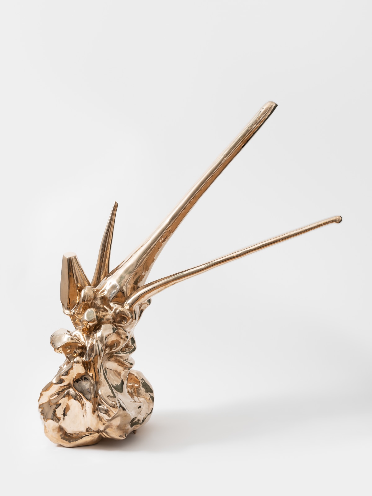 Alma Allen, Not Yet Titled, 2024