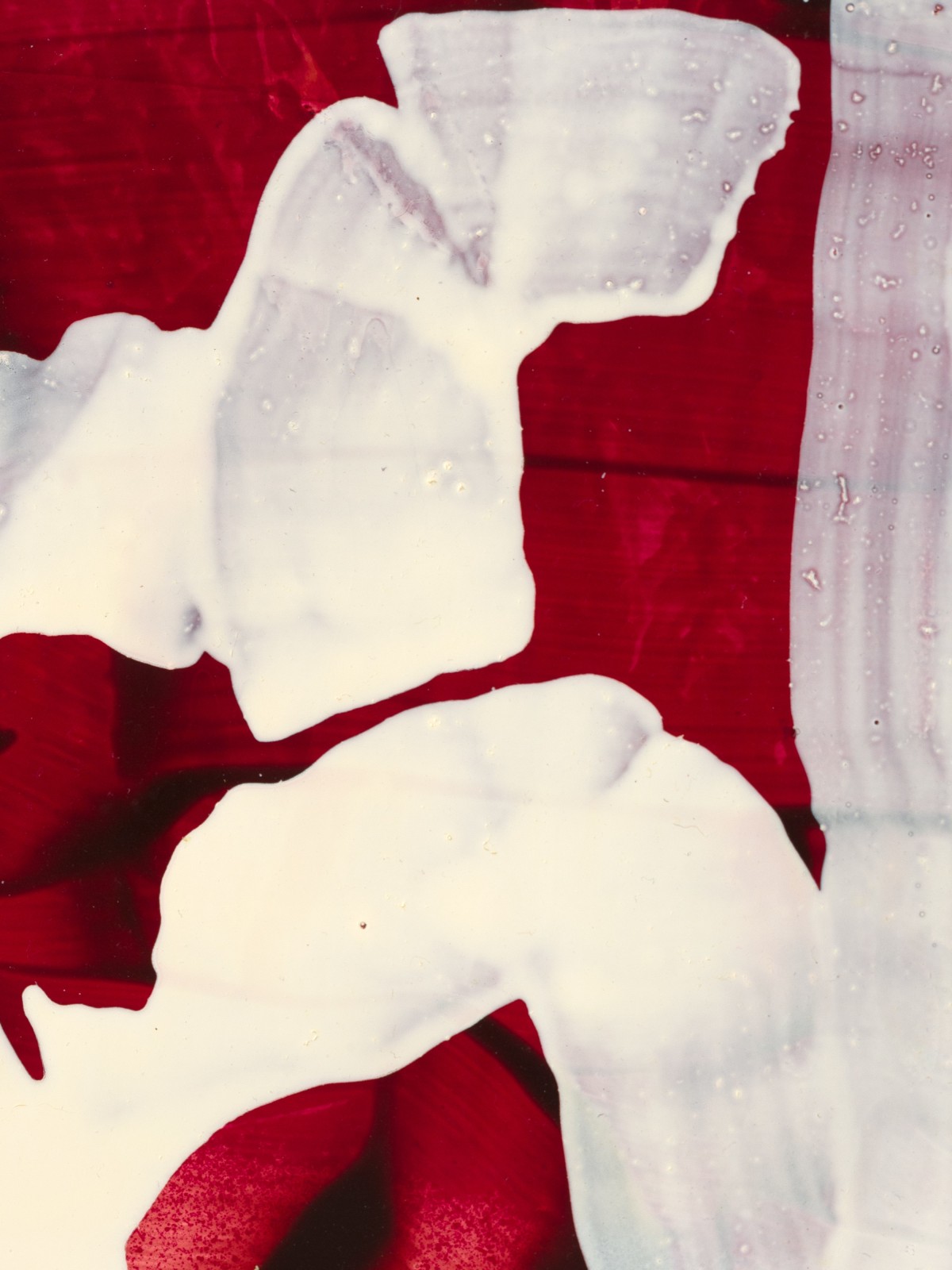 Jamie Nares, Untitled, 1997