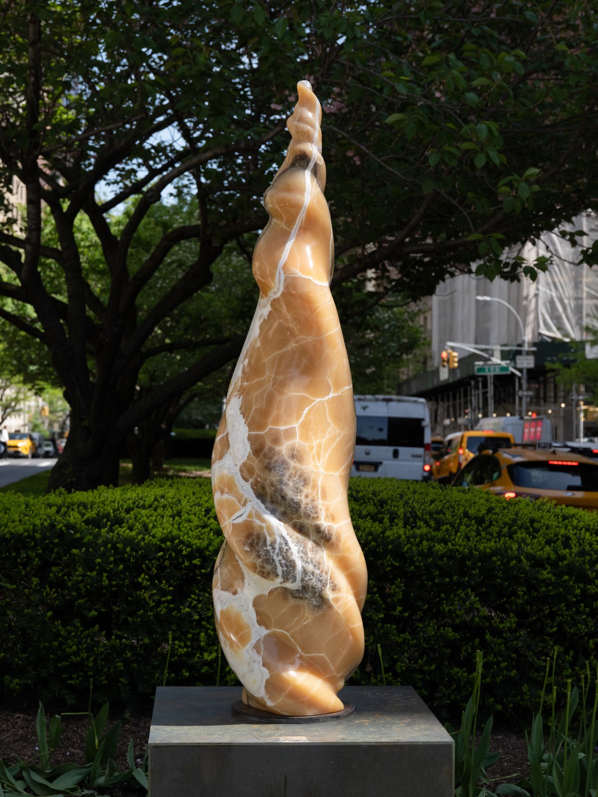 Alma Allen, Not Yet Titled, 2025