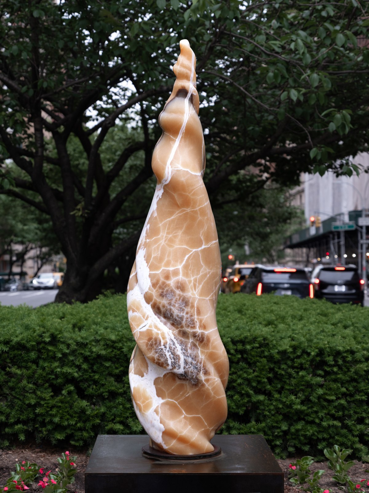Alma Allen, Not Yet Titled, 2025