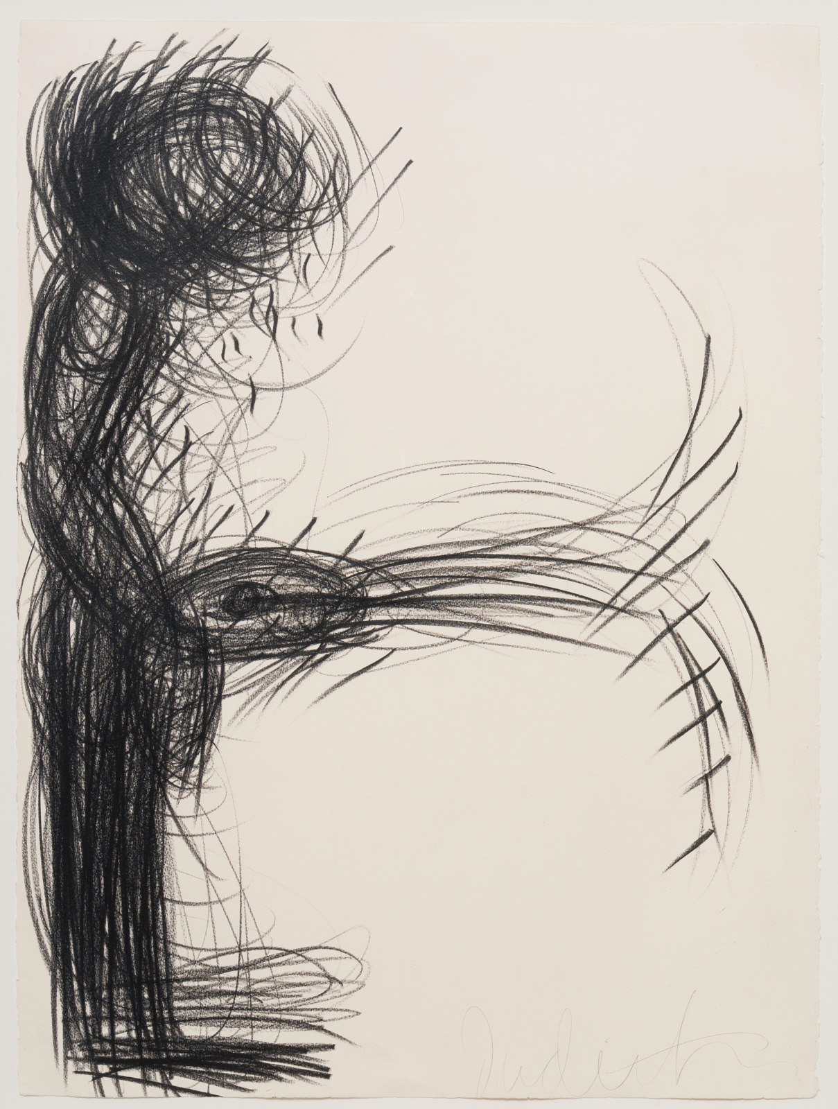 Judith Bernstein, Active Figuration Shooters, 1985