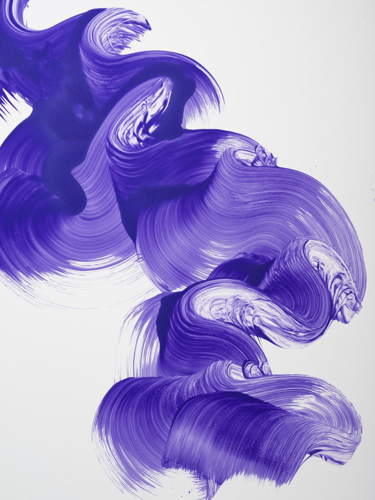Jamie Nares, Untitled, 2024