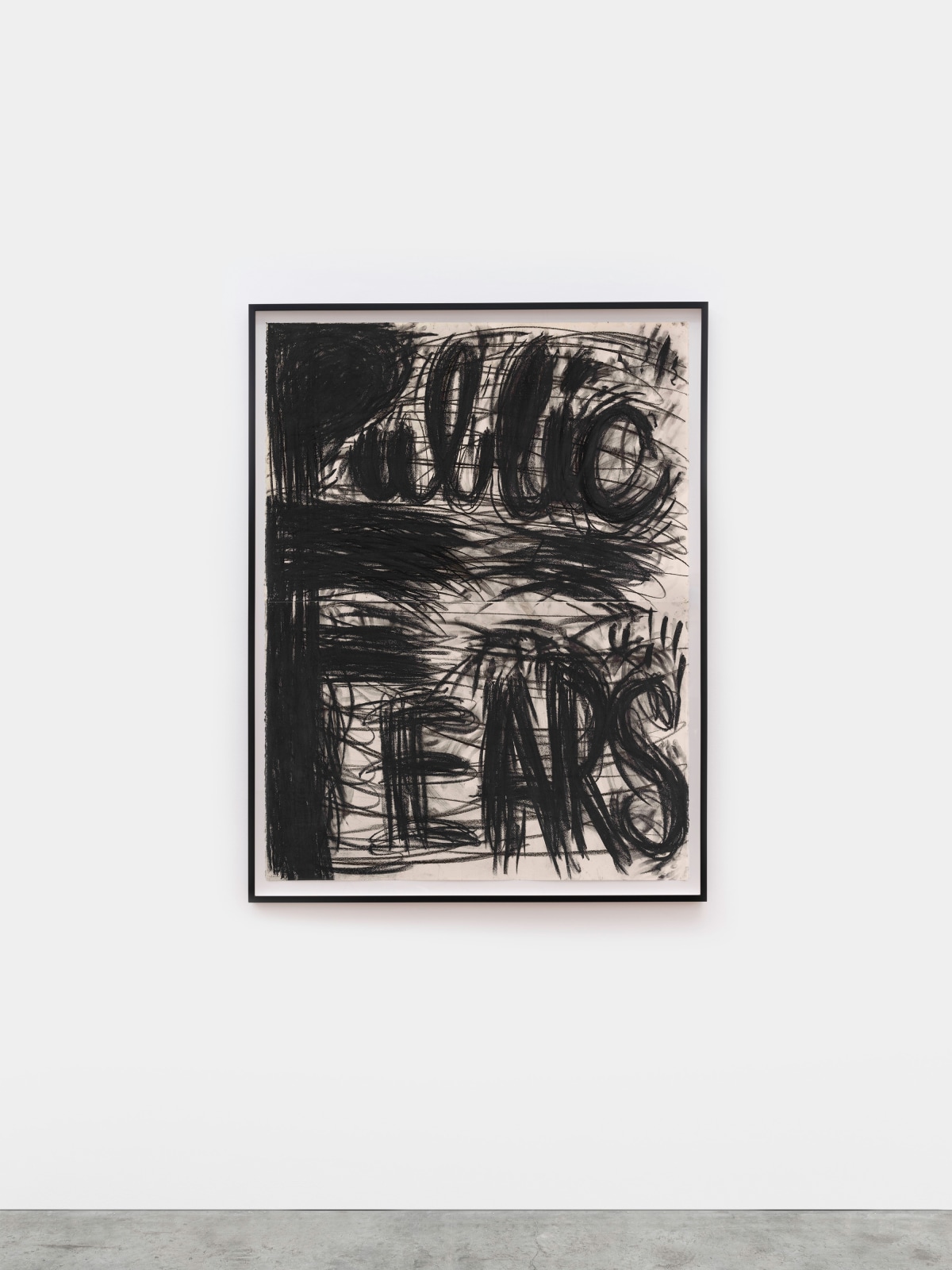 Judith Bernstein, Public Fears, 1993