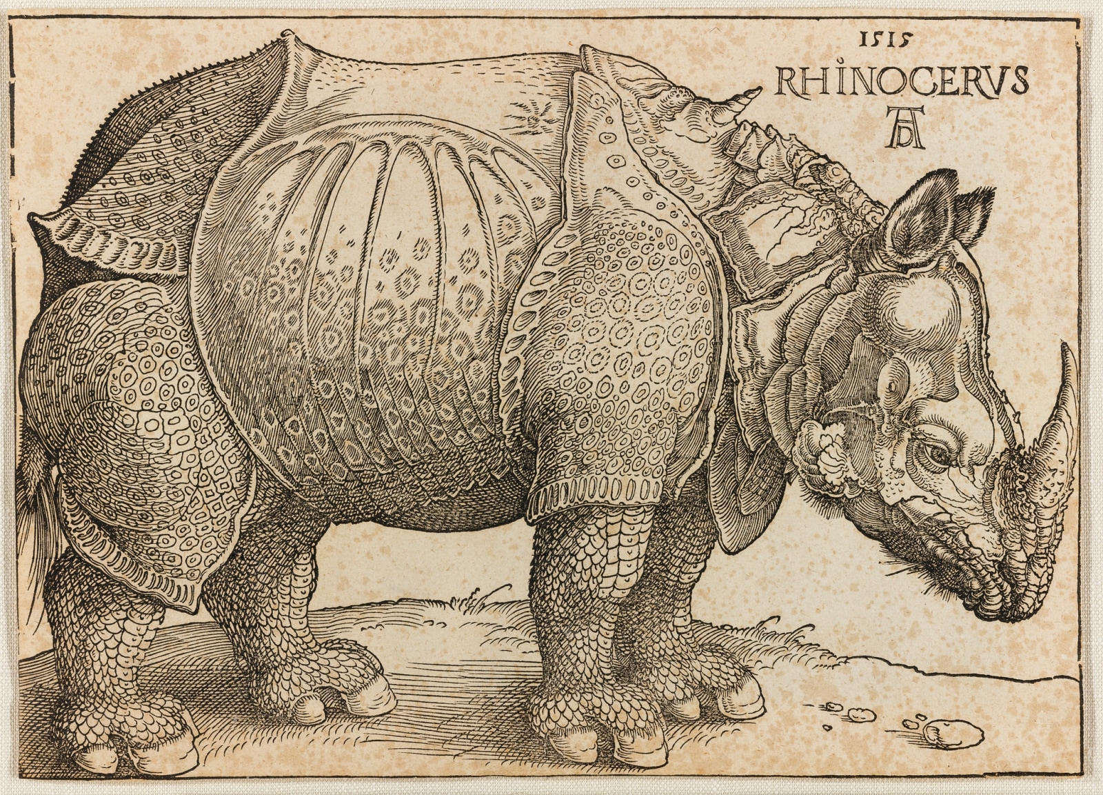Albrecht Dürer, The Rhinocerus (B. 136; M. HOLL. 273), ca. 1620, woodcut made in 1515