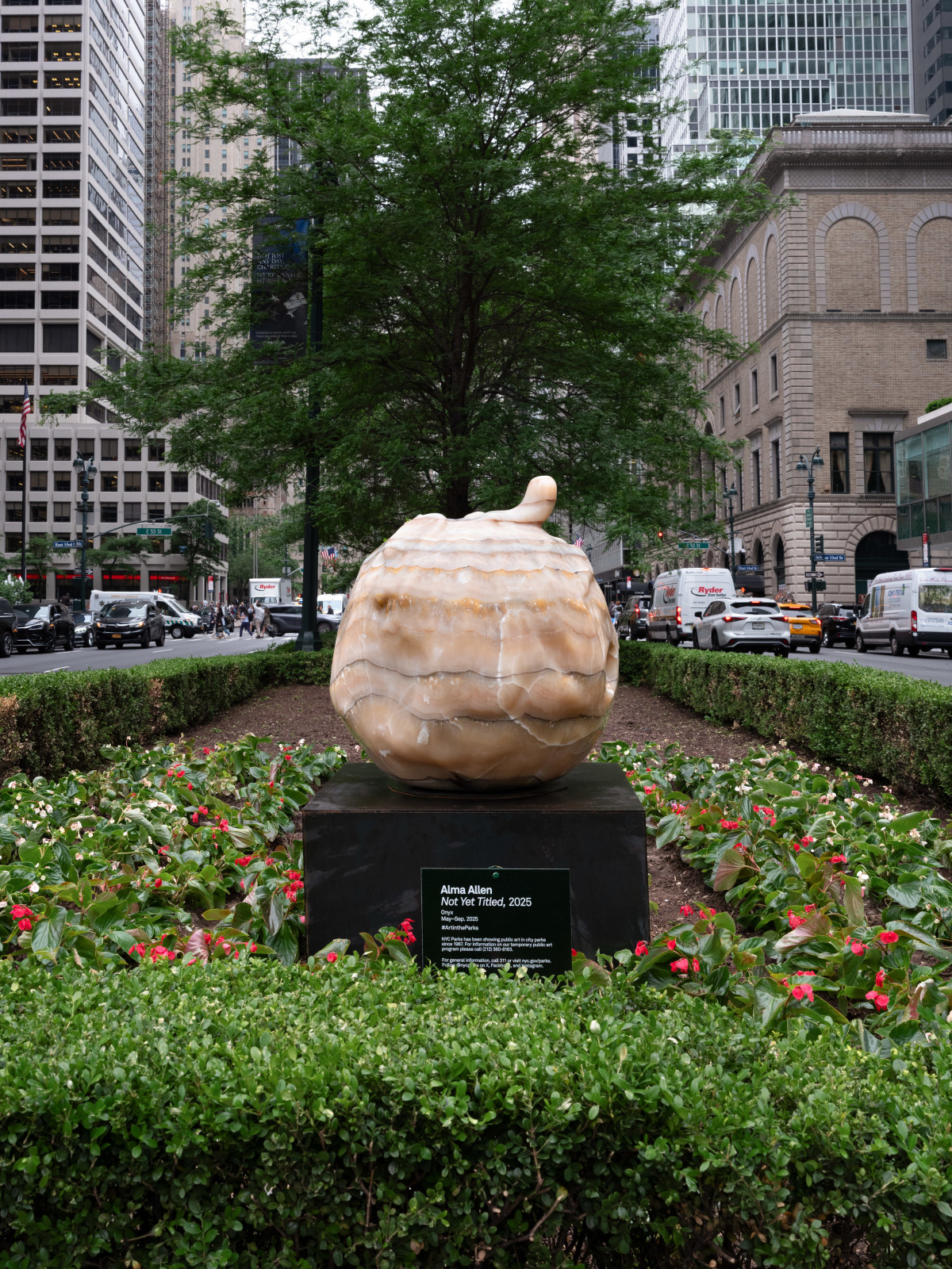 Alma Allen, Not Yet Titled, 2025