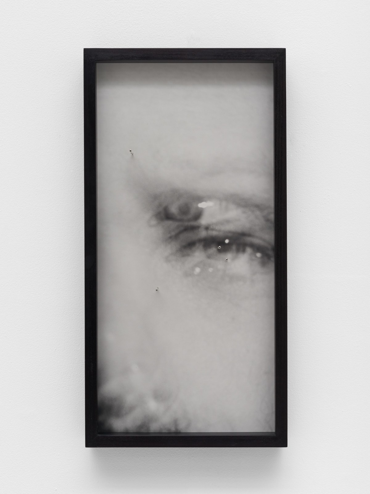 Polly Brown, Gunpowder and Shot, 2021