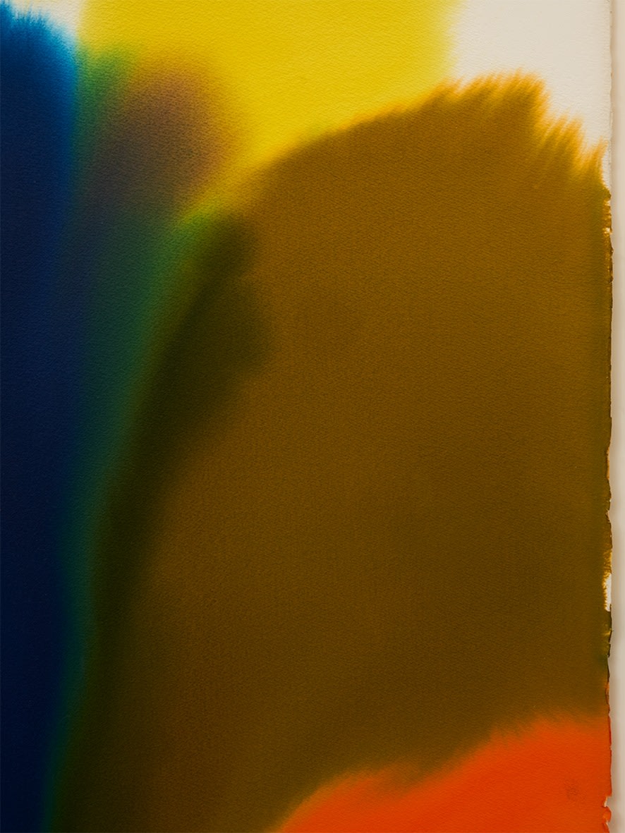 Paul Jenkins, Phenomena Umbra, 1982