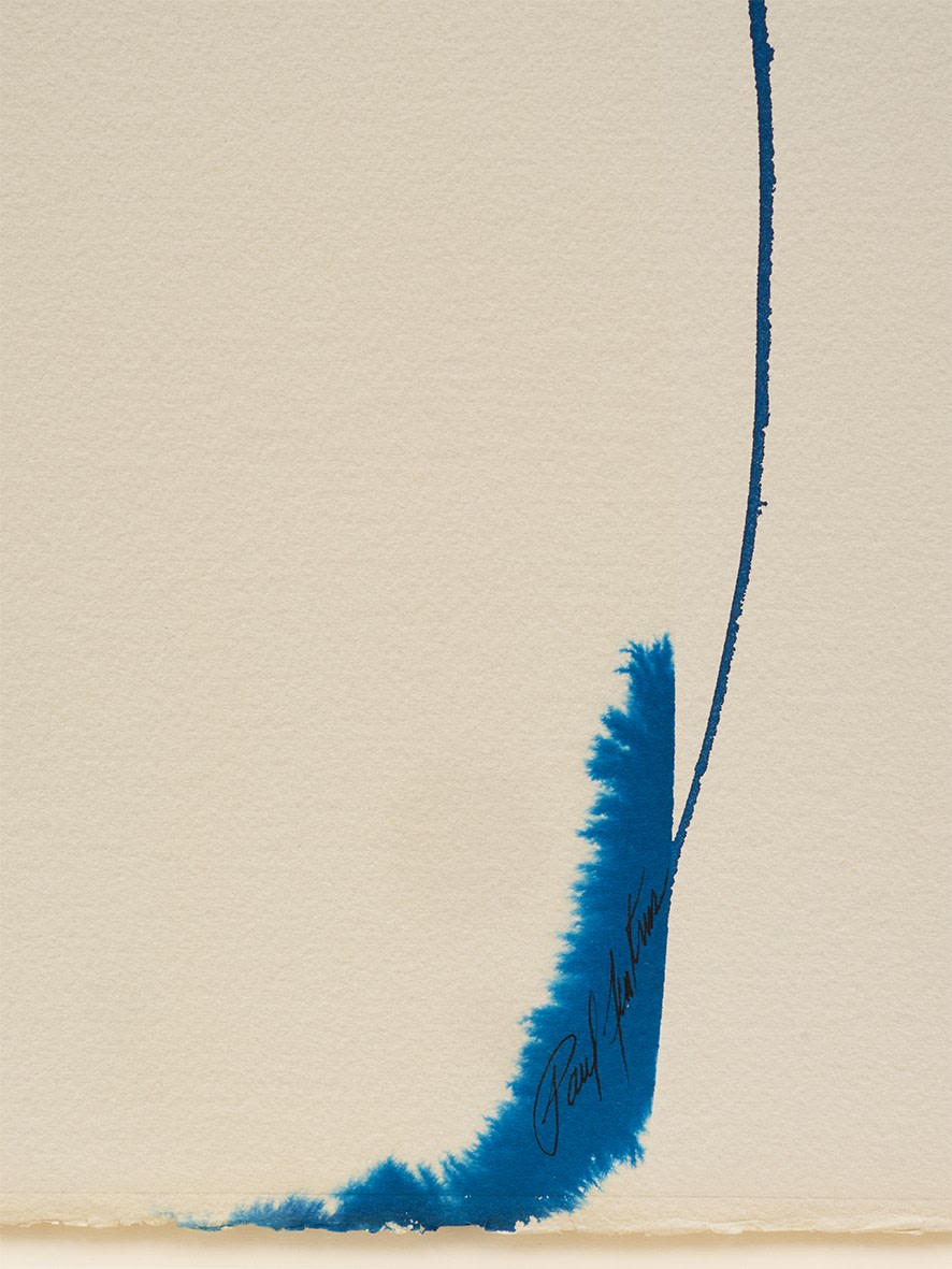 Paul Jenkins, Phenomena Damned Fool, 1977