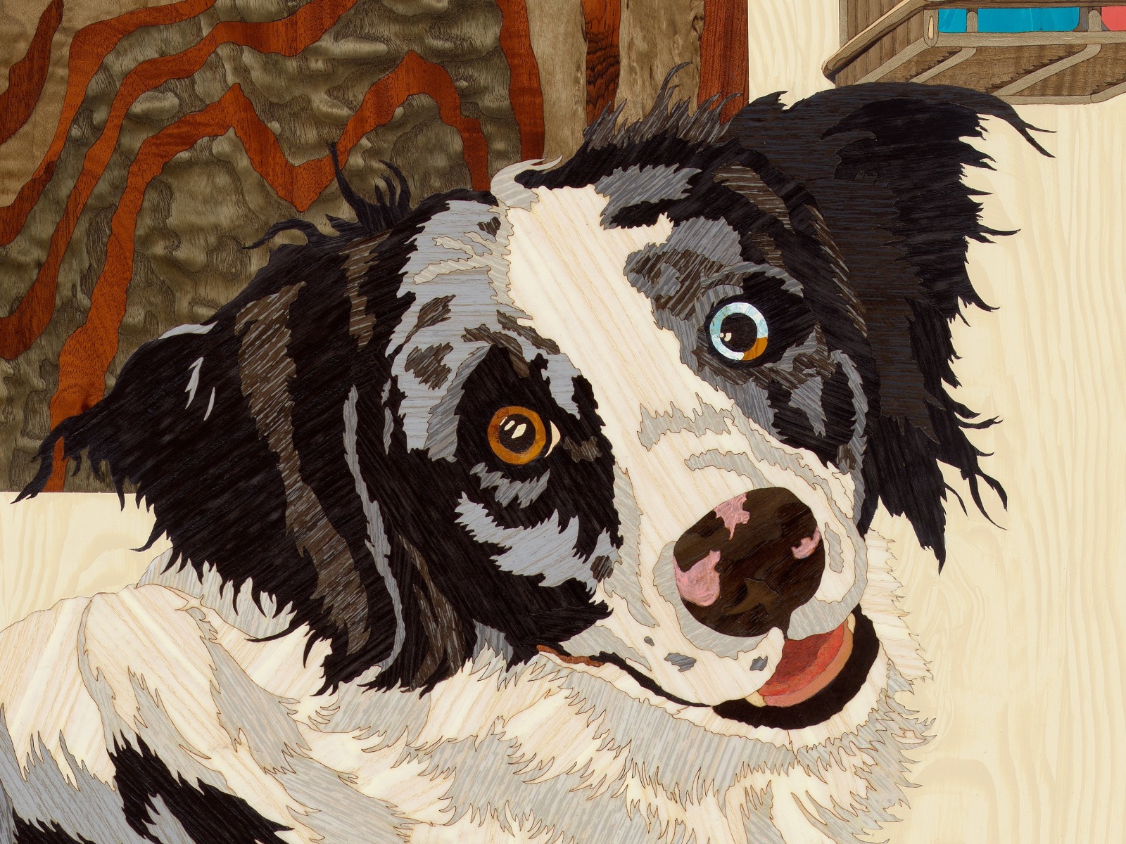 Alison Elizabeth Taylor, A Cat Person's Studio Dog, 2024