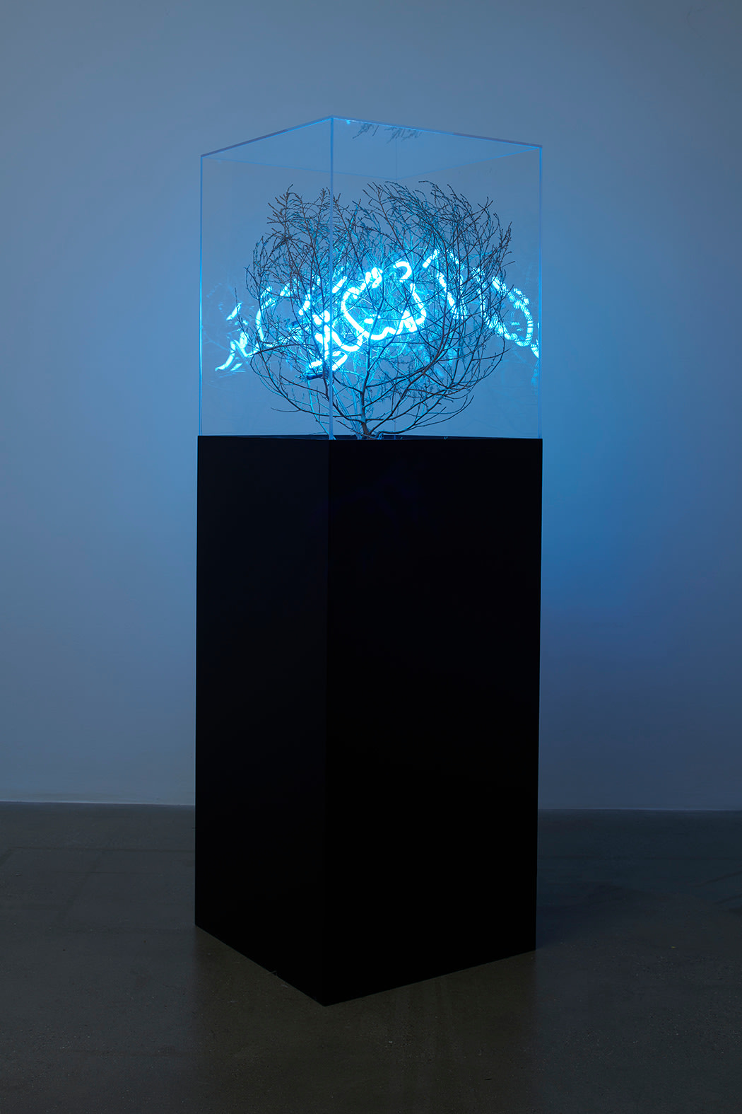 Shezad Dawood, The Majestic, 2007