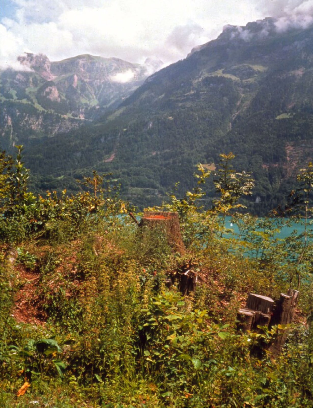 Jean-Marc Bustamante, LP III, 2000