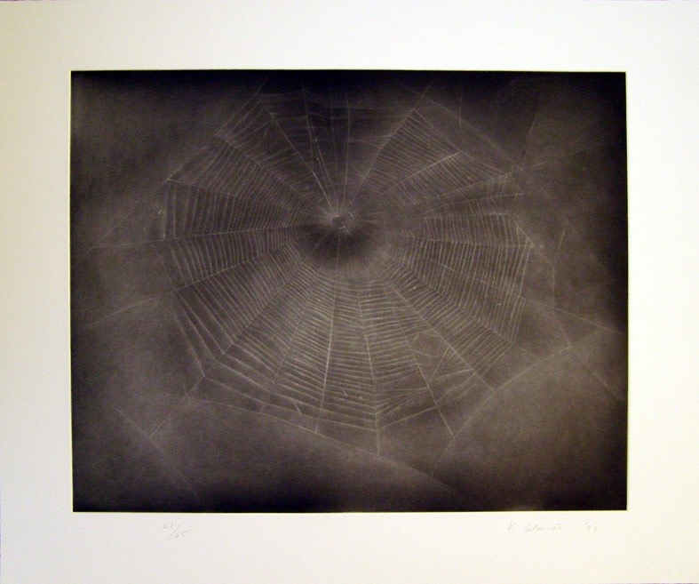 Vija Celmins, Untitled (Web 3), 2002