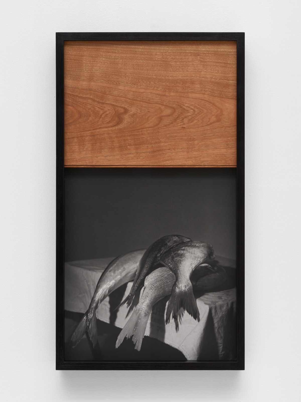 Polly Brown, Cosh, 2021
