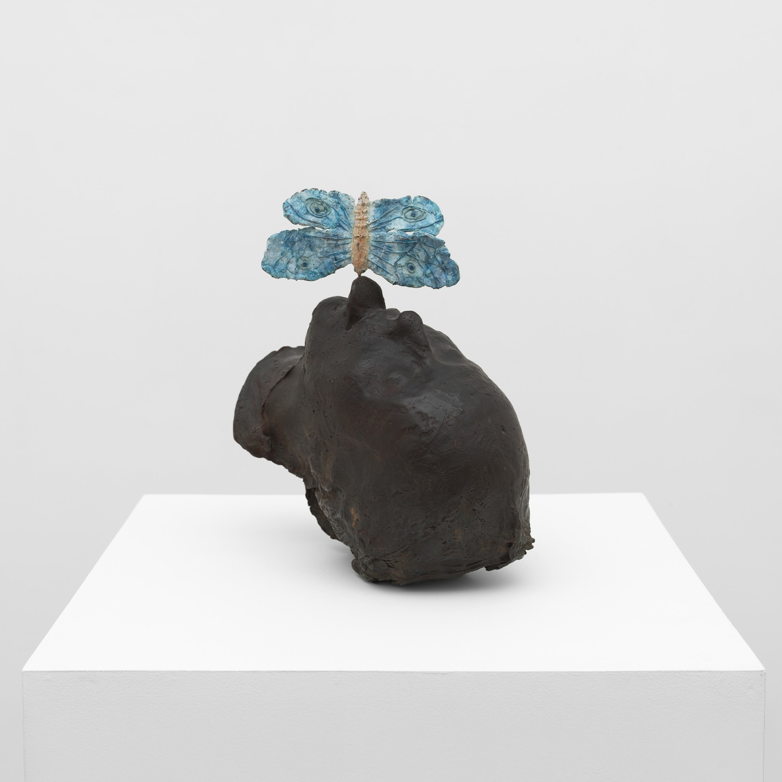 Kiki Smith, Untitled (Moth), 1993