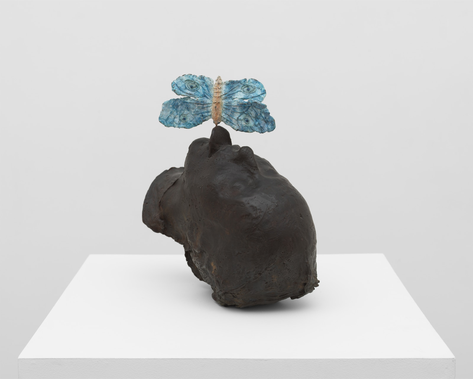 Kiki Smith, Untitled (Moth), 1993