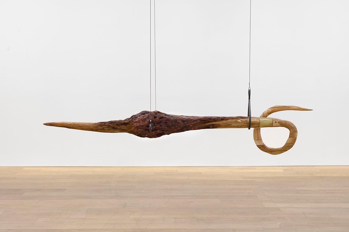 Alicia Adamerovich, Choking on my words, 2022