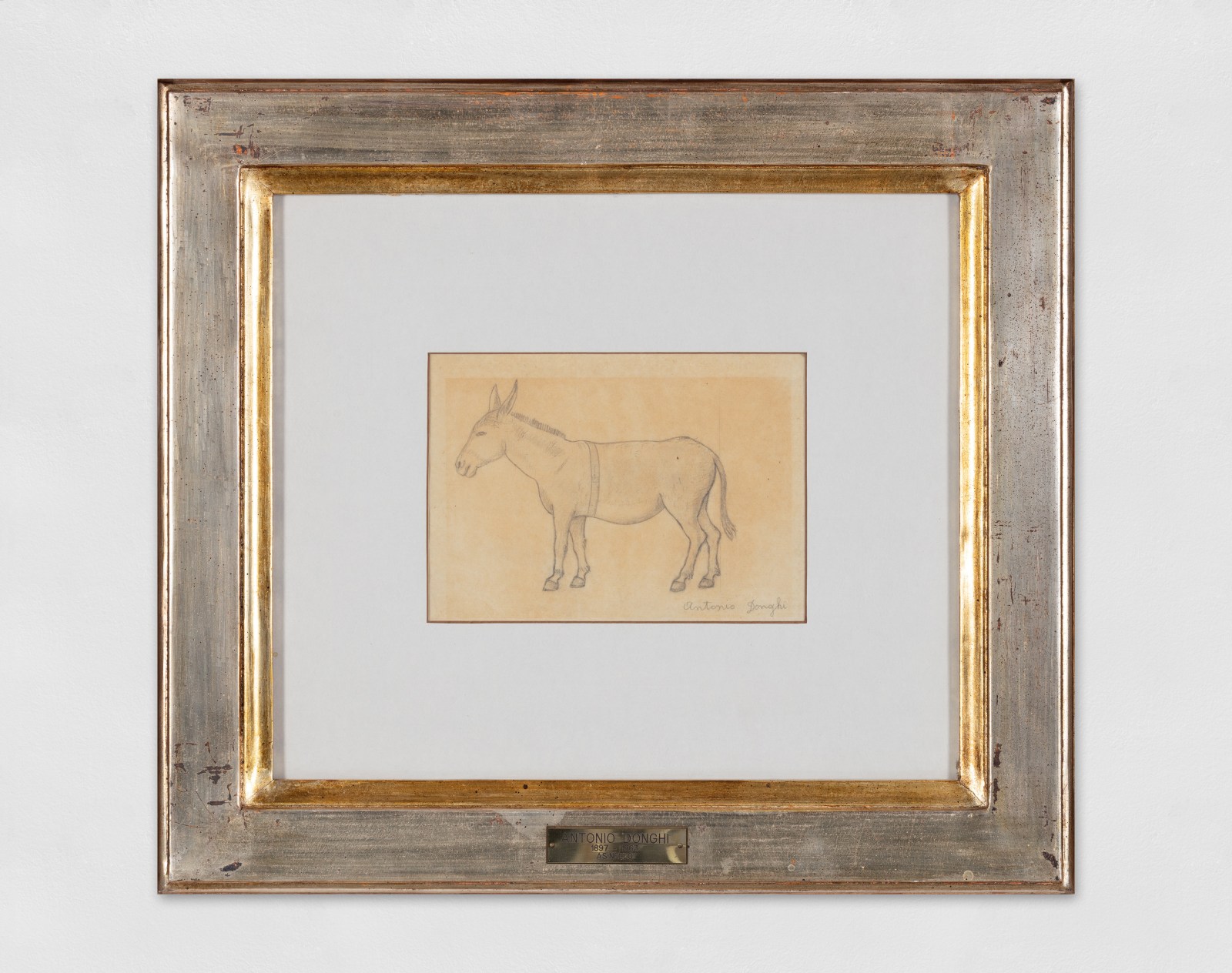 Pencil drawing on paper of a Donkey and a study for the painting Asinello (studio per