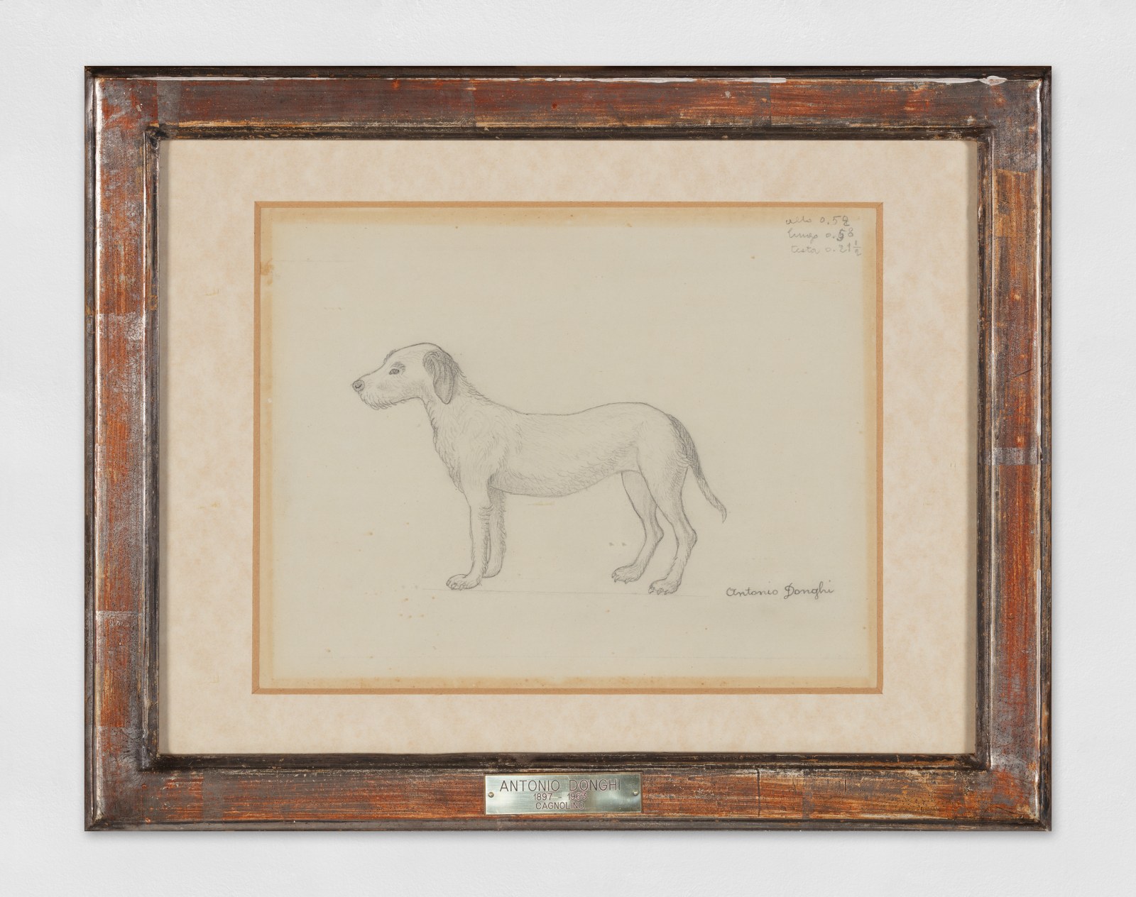 A pencil drawing on paper of a dog. The work on paper is a study for the painting