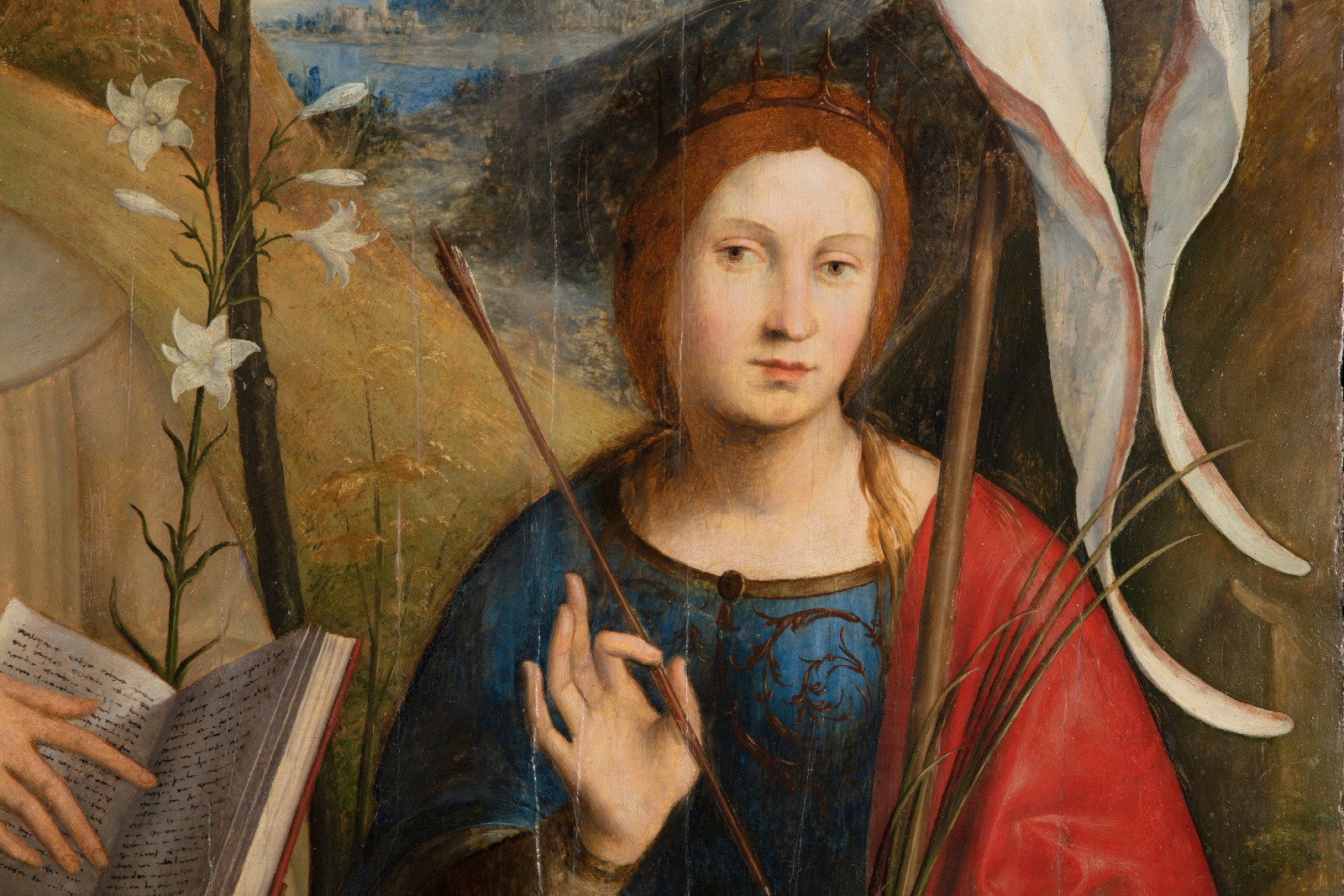 Detail of an oil painting of Saint Catherine, Anthony of Padua and Ursula, set in a natural landscape. The detail shows the face of Saint Ursula.