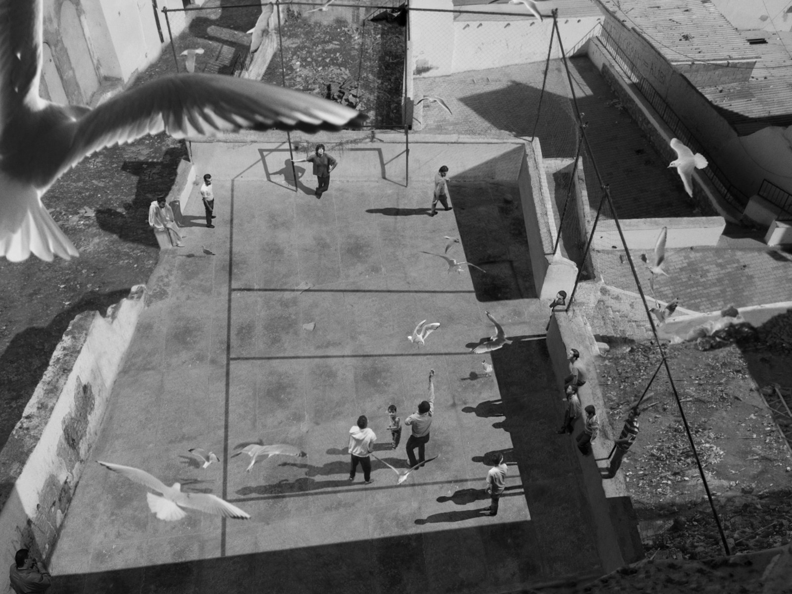 A group of children play soccer on a concrete field, surrounded by seagulls flying above them. The image is taken from above and shows the shadows of the children and birds on the ground.