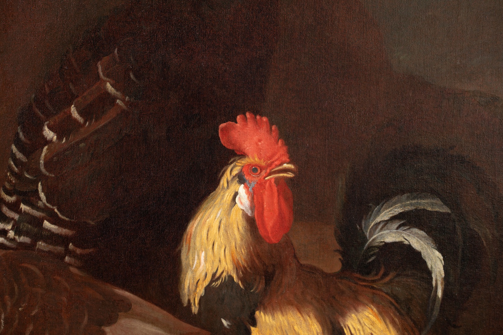 Painting of a rooster, some hens, a goose and a turkey