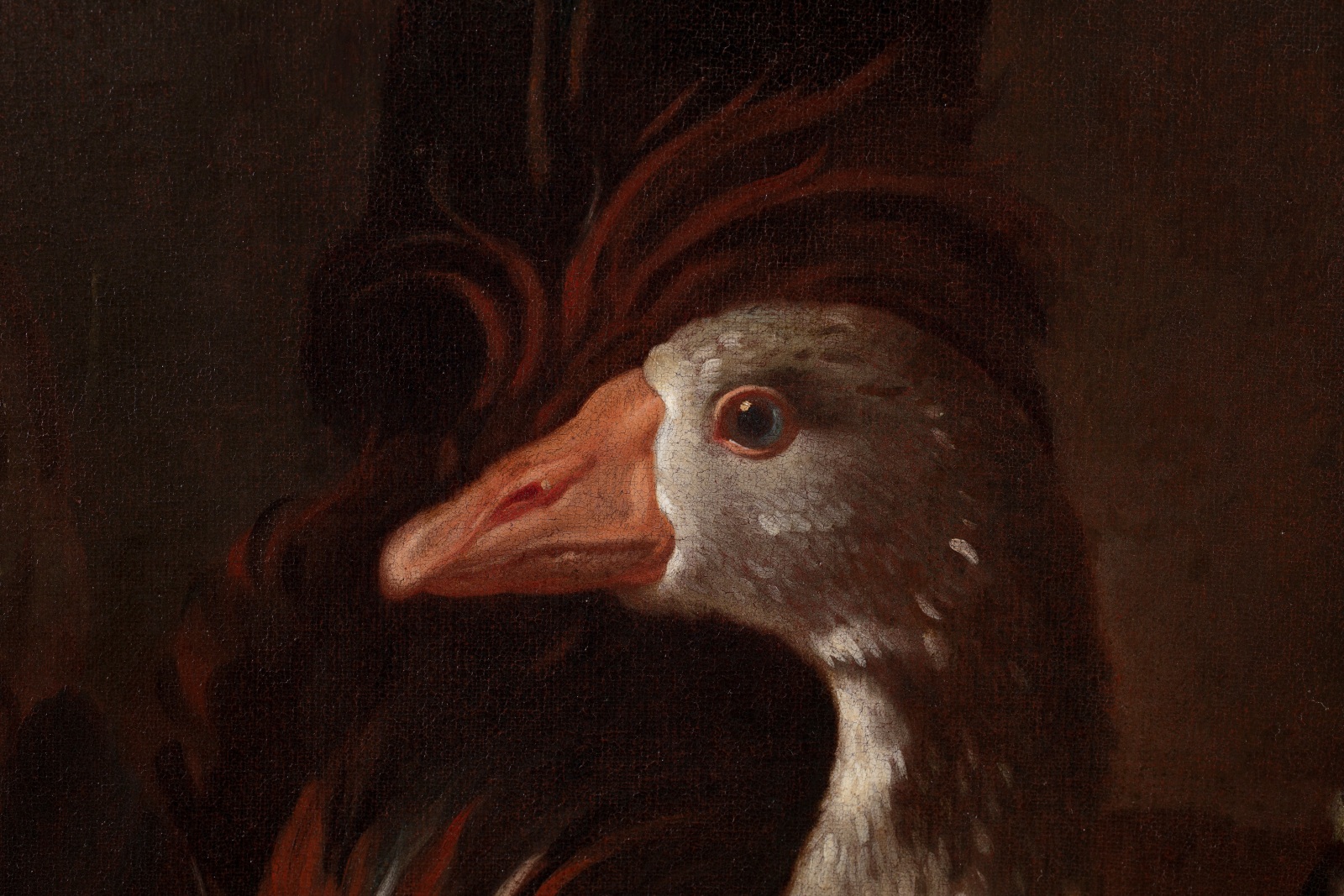 Painting of a rooster, some hens, a goose and a turkey