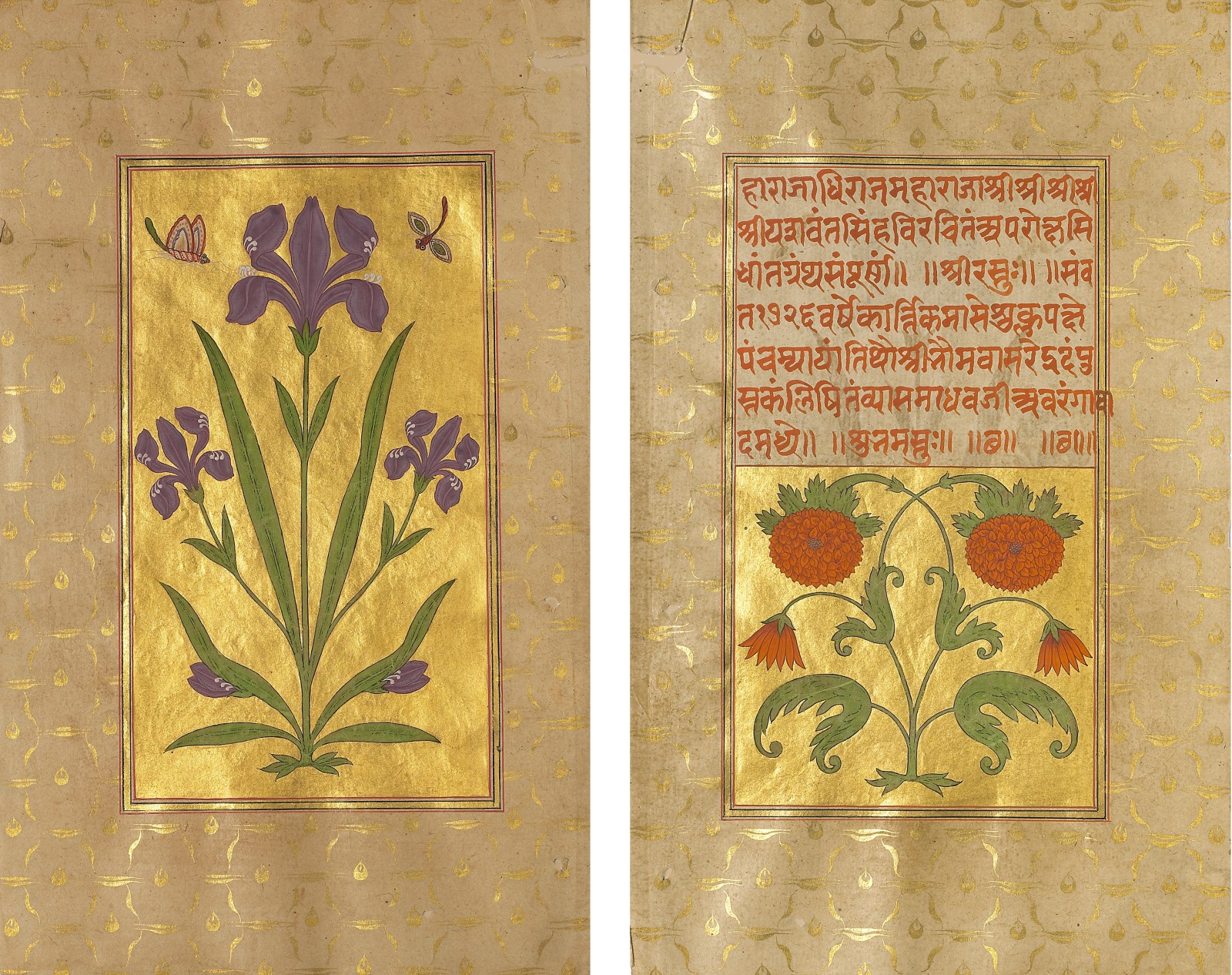 An Iris, Double -sided folio from the Aparokshasiddhanta of Maharaja Jasvant Singh of Jodhpur, Aurangabad, dated 1669-70